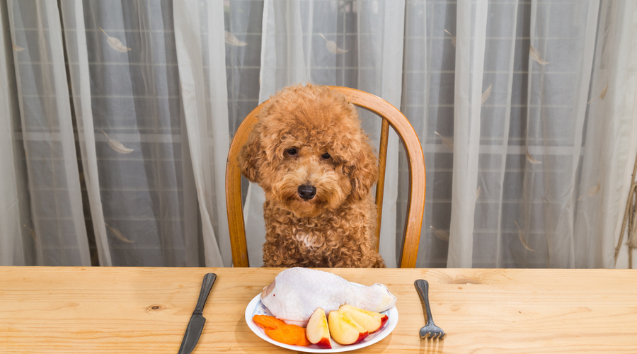 犬が食べてはいけないもの