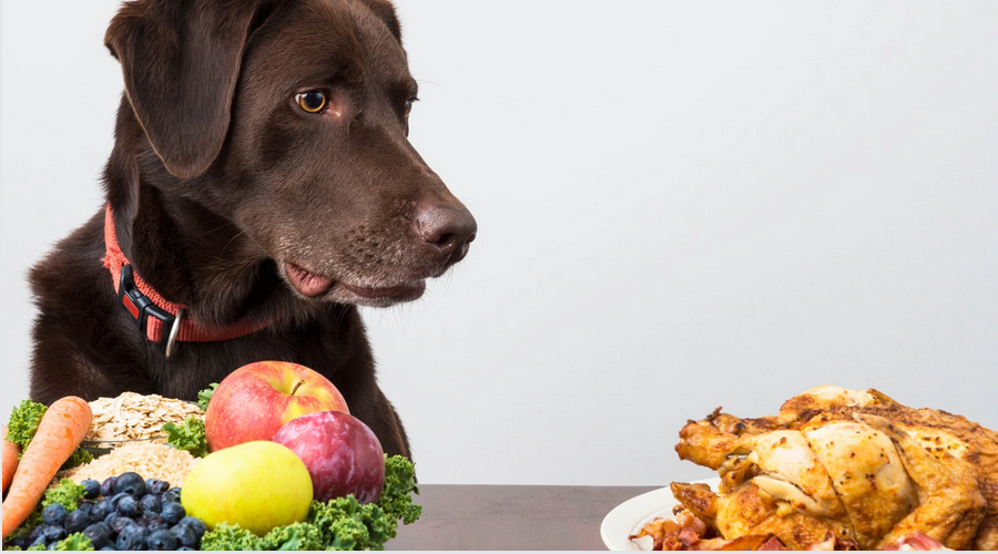 犬が食べても大丈夫な野菜