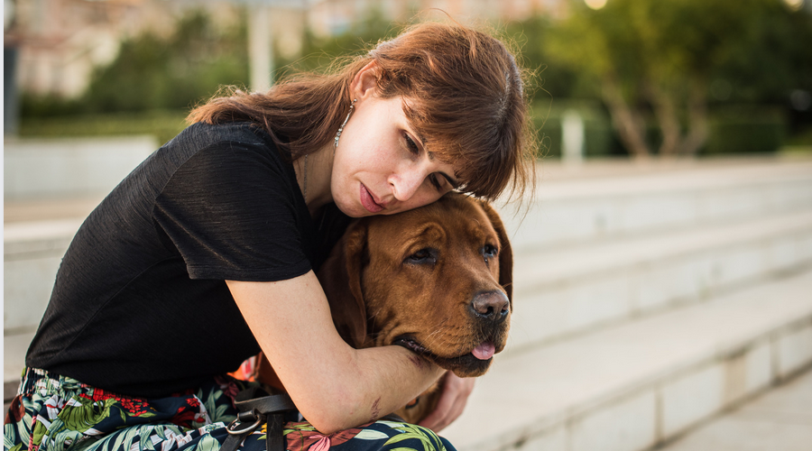 愛犬を労わる